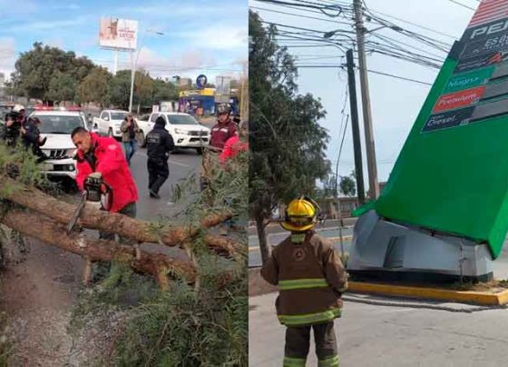 Atiende Protección Civil Estatal diversos reportes de daños provocados por rachas de viento