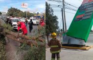 Atiende Protección Civil Estatal diversos reportes de daños provocados por rachas de viento