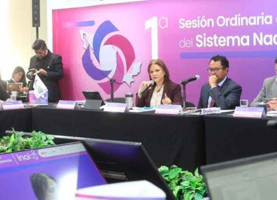 Simplificar y asegurar plataformas fortalece rendición de cuentas: Julieta del Río