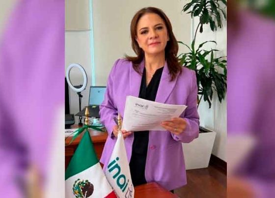 Derecho a la Información y la privacidad en riesgo si los tutelan poderes ejecutivos: Julieta del Río