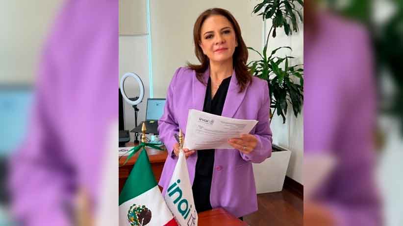 Derecho a la Información y la privacidad en riesgo si los tutelan poderes ejecutivos: Julieta del Río