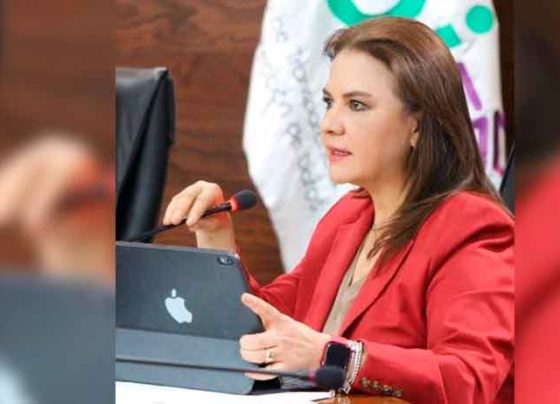 Pese a embates, la sociedad confía en el INAI: Julieta del Río   