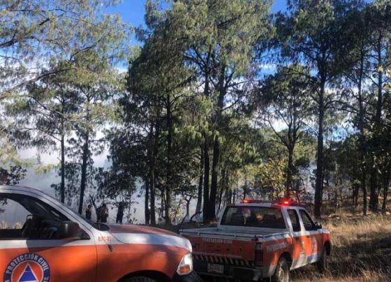 Emite Protección Civil recomendaciones para prevenir incendios forestales