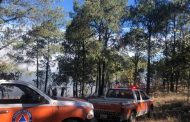 Emite Protección Civil recomendaciones para prevenir incendios forestales