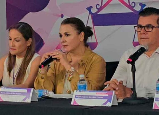 Resoluciones con visión de derechos humanos cambian vidas: Julieta del Río   
