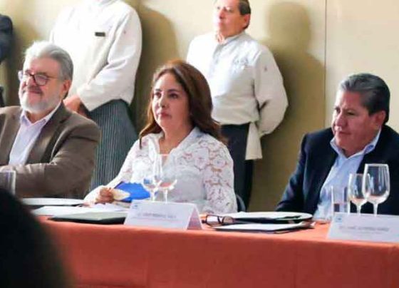 Mineras atienden llamado del Gobernador David Monreal y de Presidenta del SEDIF de apoyar a niños que esperan un implante coclear