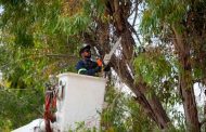 Supervisa Jorge Miranda obras integrales en el Centro Histórico
