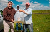 Con apoyos para la siembra de peces Se fortalece el sector productivo del Municipio de Guadalupe