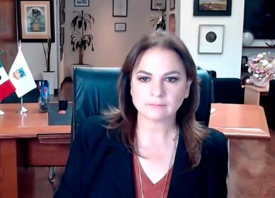 El acceso a la información complementa la fiscalización: Julieta del Río