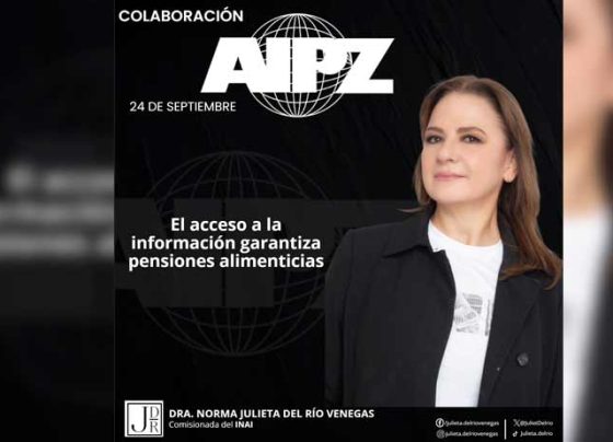 El acceso a la información garantiza pensiones alimenticias   