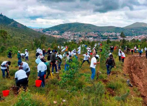 Cierra el programa “Bosque, respiro por ti” con jornada de reforestación