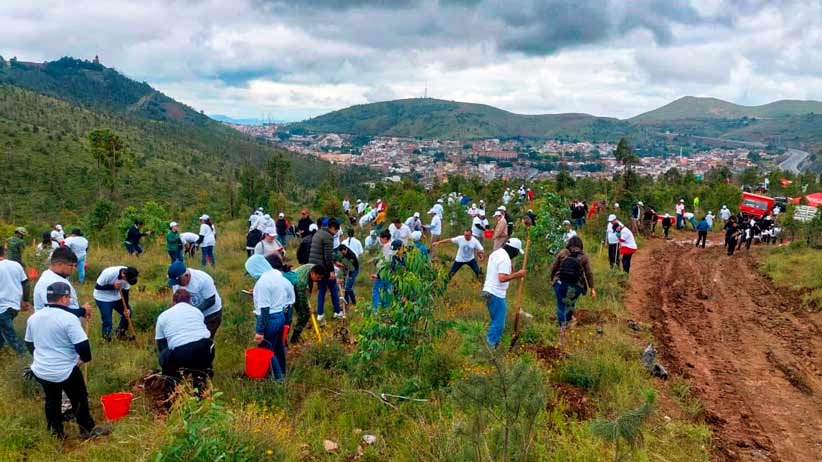 Cierra el programa “Bosque, respiro por ti” con jornada de reforestación