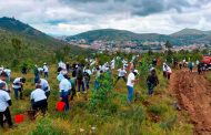 Cierra el programa “Bosque, respiro por ti” con jornada de reforestación