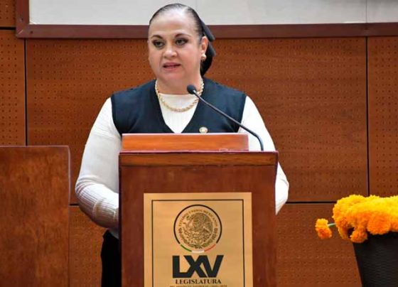 Diputada Ana María Romo llama a proteger a niñas, niños y adolescentes de la violencia digital y exhorta a crear una ley seguridad cibernética