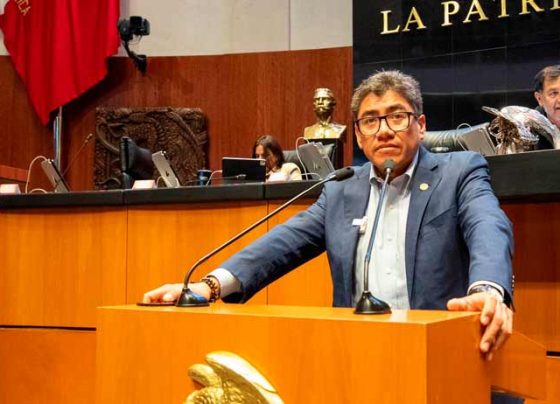 Saúl Monreal presenta iniciativa para prohibir el doble remolque
