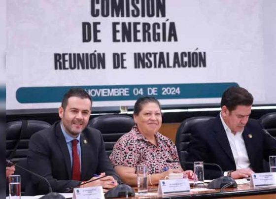 Consolidaremos la soberanía y transición energética de México: Ulises Mejía.