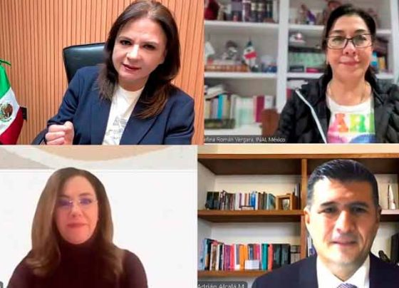 Lo importante es privilegiar el derecho a saber y la protección de los datos personales en el país: Julieta del Río