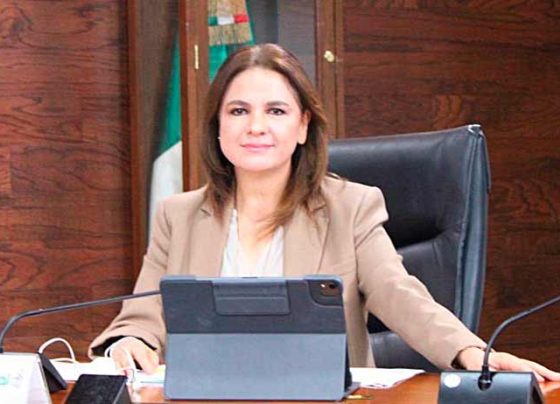 La corrupción se descubre a través de acceder a la información pública: Julieta del Río