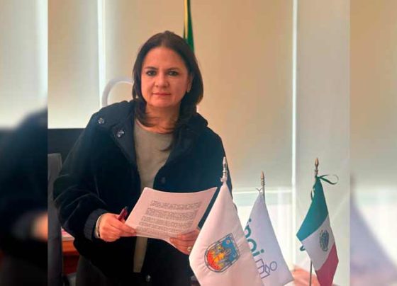 La Plataforma Nacional de Transparencia vigente en Zacatecas: Julieta Del Río