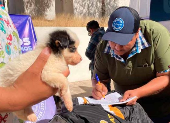 Exitosa Jornada de adopción y esterilización de mascotas en Zacatecas