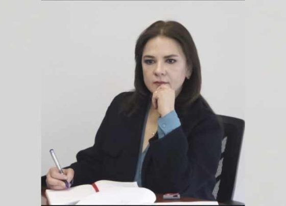 Enero reflejó baja de recursos interpuestos en INAI ante negativas de respuestas: Julieta del Río