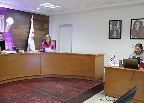 Continúa IZAI verificación a información financiera