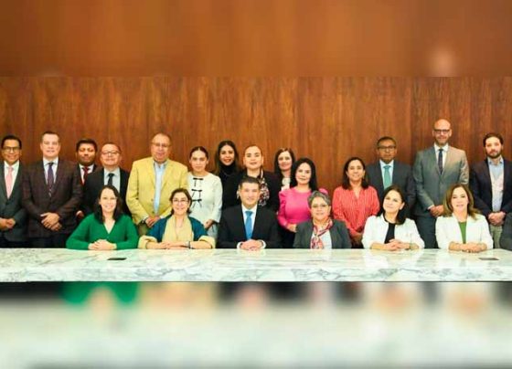 Entre la entrega y la recepción, garantizar el acceso sin mirar a quién: Julieta del Río