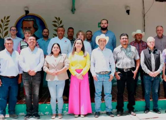 Instala Coepla Comité para el Desarrollo Regional y Territorial de la Región VI