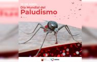 Trabaja Secretaría de Salud en prevención del Paludismo