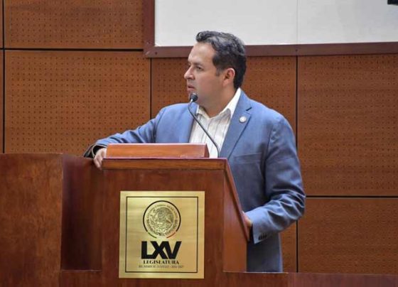 Niñez al centro: Marco Vinicio Flores Guerrero propone reforma constitucional por una infancia protegida y feliz