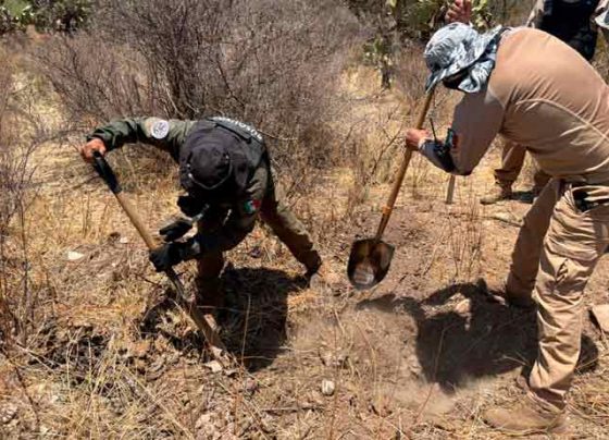 Realizan Gobierno de Zacatecas y Fiscalía de Justicia búsqueda forense en Villa de Cos