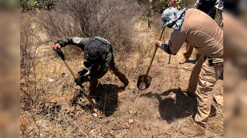 Realizan Gobierno de Zacatecas y Fiscalía de Justicia búsqueda forense en Villa de Cos