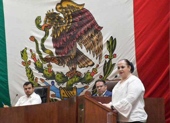 Ni un peso menos a nuestra gente,  ¡Alto al impuesto a las remesas!: Ana María Romo Fonseca