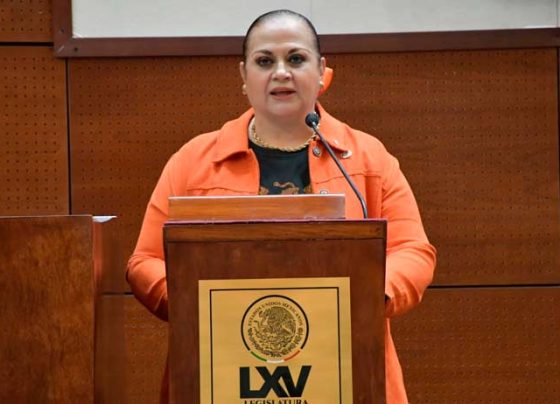 ¡No a la ley censura! Exhorta Ana María Romo Fonseca al senado a defender los derechos digitales