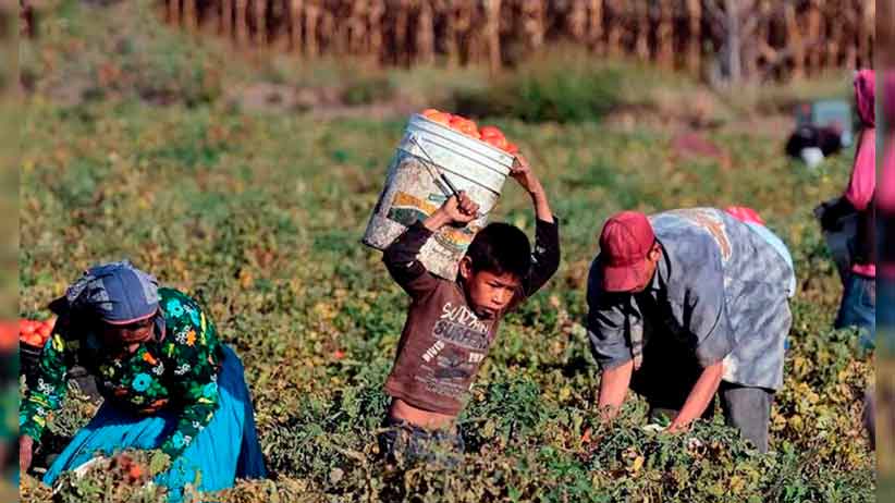 Compromiso firme contra el trabajo infantil en Zacatecas