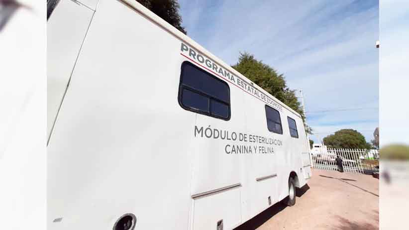 Realiza Secretaría de Salud esterilizaciones caninas y felinas en Jerez, Jiménez del Teúl y Guadalupe