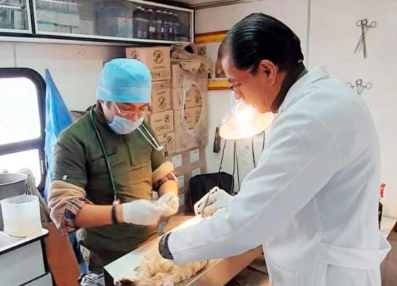 Secretaría de Salud realizará esterilizaciones de animales de compañía en Villa de Cos