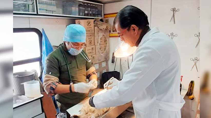 Secretaría de Salud realizará esterilizaciones de animales de compañía en Villa de Cos