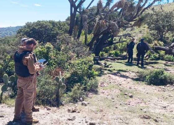 Ubican a persona reportada como no localizada; ya está en su domicilio