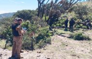 Ubican a persona reportada como no localizada; ya está en su domicilio