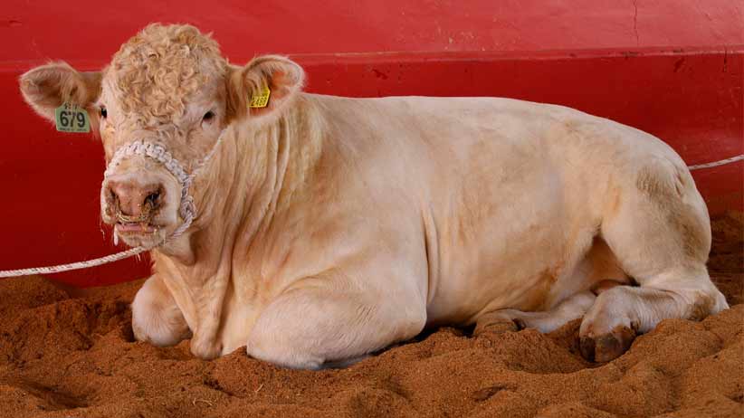 Avanza campo zacatecano con inversión cercana a 700 millones de pesos, en el Año del Progreso