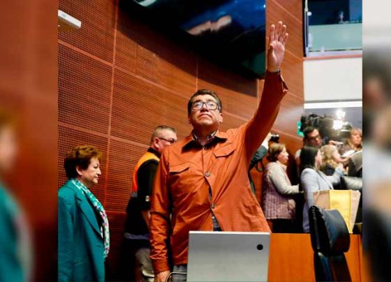 SMA : Confío en que PVEM y PT respaldarán a la Presidenta