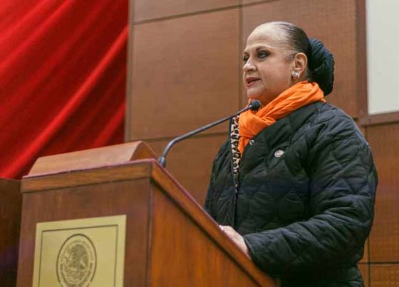 Impulsa Ana María Romo reforma para fortalecer la salud mental de niñas, niños y adolescentes en Zacatecas