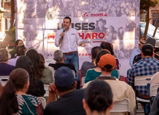 Consolidan reforma electoral con austeridad y renovación democrática: Ulises Mejía