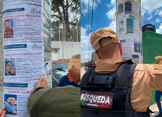Realiza Gobierno de Zacatecas jornada de búsqueda de personas en vida, en colonias de Fresnillo