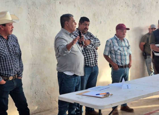 Sombrerete impulsa subsidios para semilla de frijol y reduce costos de producción para el campo