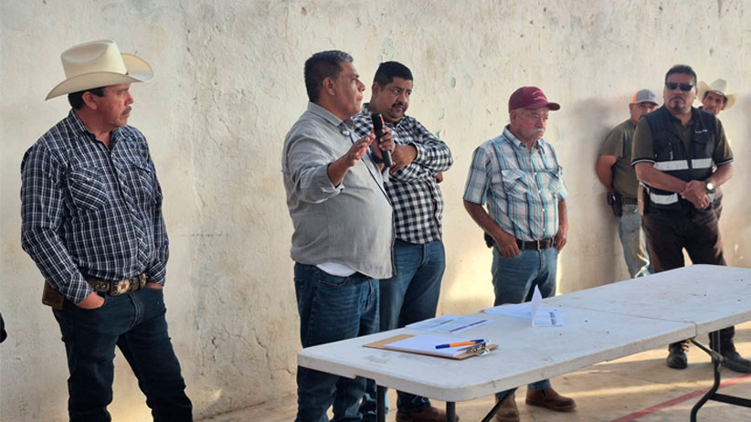 Sombrerete impulsa subsidios para semilla de frijol y reduce costos de producción para el campo