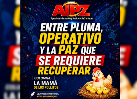 Entre plumas, operativos y la paz que se quiere recuperar