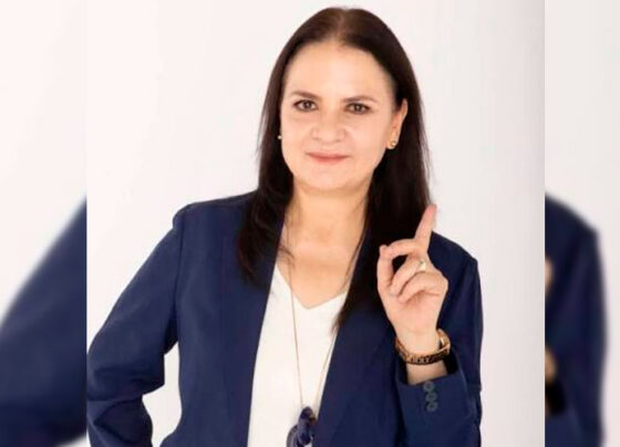 La ciberseguridad se contrata con transparencia; aquí no cabe la austeridad: Julieta del Río