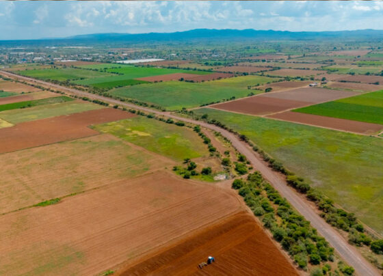 Rehabilita Gobierno de Zacatecas carretera que conecta comunidades de El Bordo y Norias de San Juan